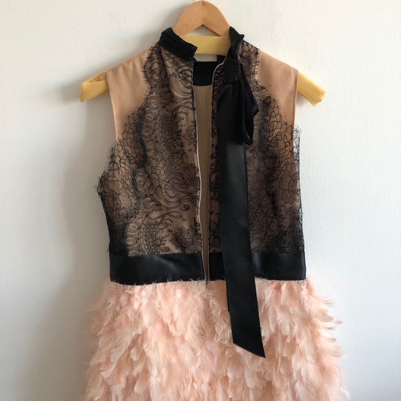 Marchesa Spring ‘16 Lace & Blush Feather Dress - Picture 12 of 16